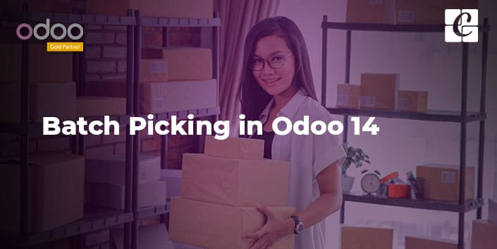 Batch Picking in Odoo 14
