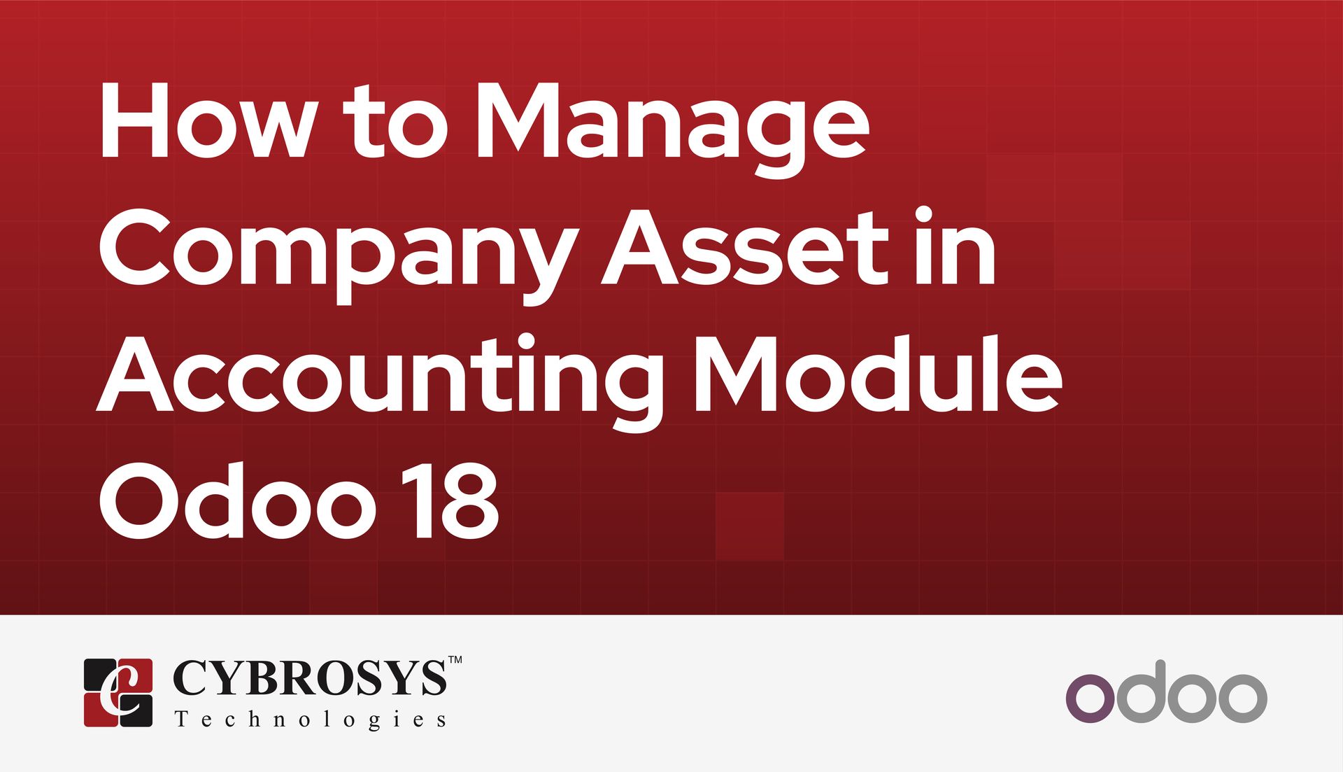 How to Manage Company Asset in Accounting Module Odoo 18