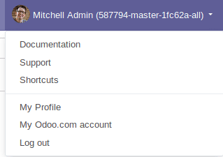 odoo-13-características-técnicas-cybrosys