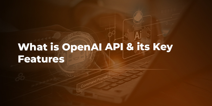 What is OpenAI API & its Key Features